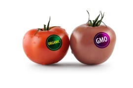 GMO vs. Organic